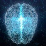 Neuroplasticity in Athletic Performance