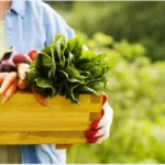 Nutritional Benefits of Organic Foods