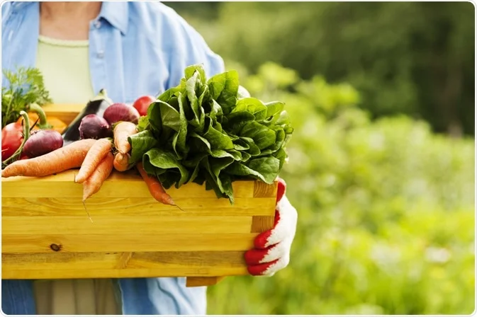 Nutritional Benefits of Organic Foods