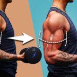 Progressive Overload for Muscle Growth