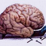 Hacking Your Brain: Unleashing Your Potential for Personal Record Breakers